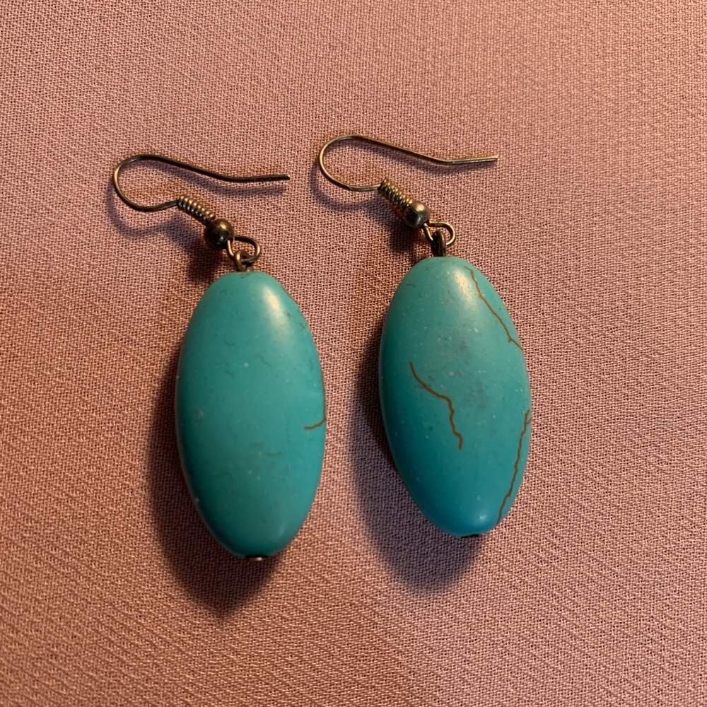 Oval Robin’s Egg Earrings